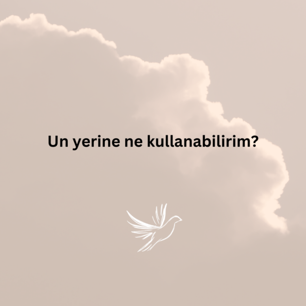 Un yerine ne kullanabilirim? 1