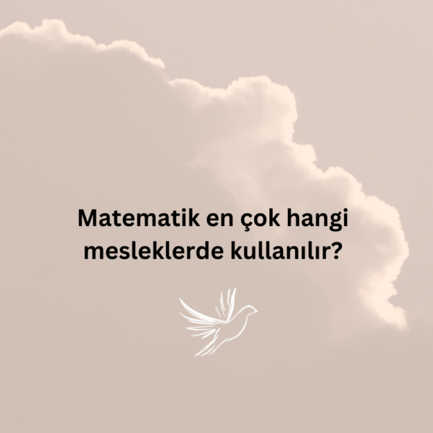 Matematik en çok hangi mesleklerde kullanılır? 1