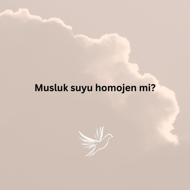 Musluk suyu homojen mi? 1