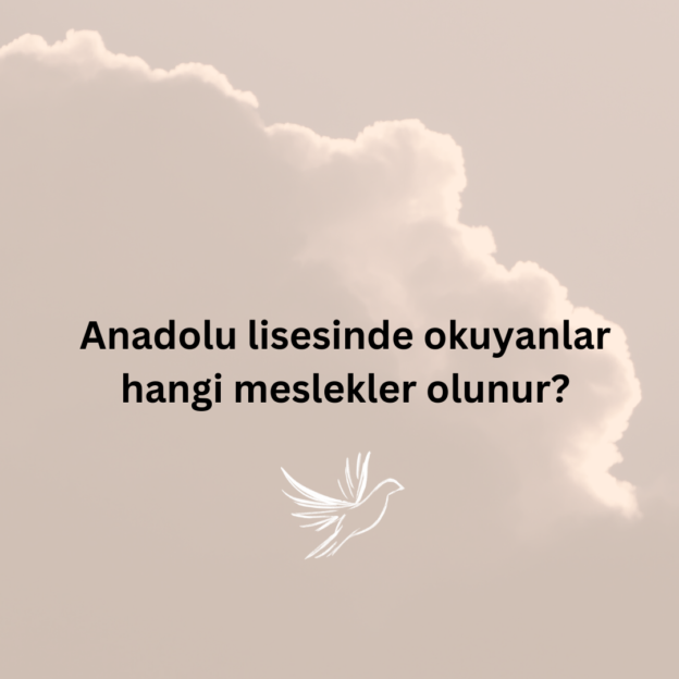 Anadolu lisesinde okuyanlar hangi meslekler olunur? 1