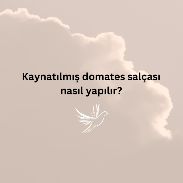 Kaynatılmış domates salçası nasıl yapılır? 1