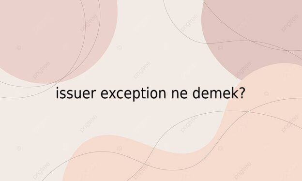 issuer exception ne demek? 1