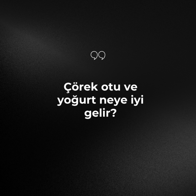 Çörek otu ve yoğurt neye iyi gelir? 1