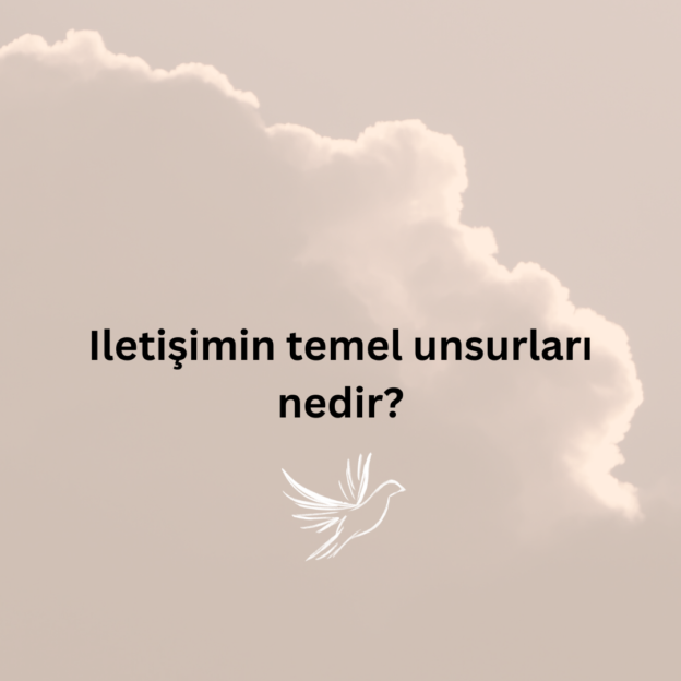 Iletişimin temel unsurları nedir? 1