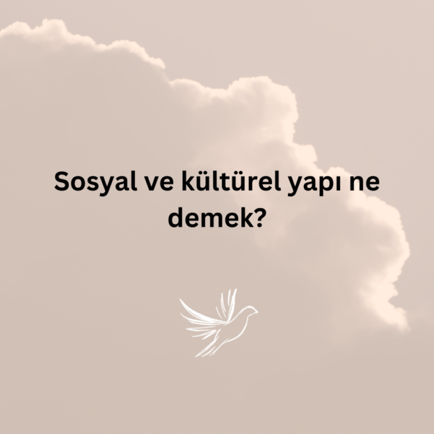 Sosyal ve kültürel yapı ne demek? 1