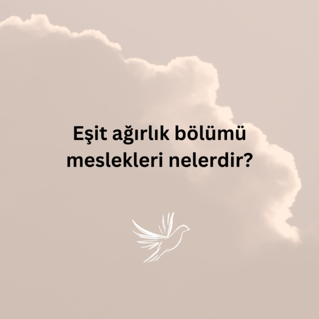 Eşit ağırlık bölümü meslekleri nelerdir? 1