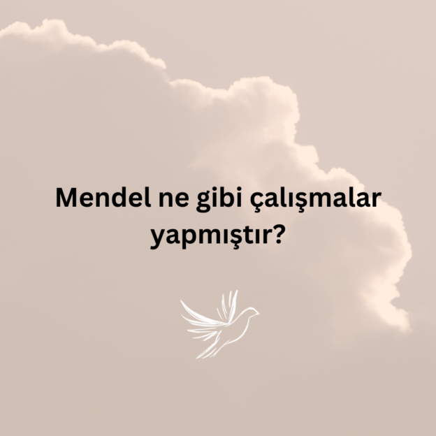 Mendel ne gibi çalışmalar yapmıştır? 1