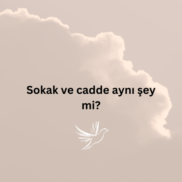 Sokak ve cadde aynı şey mi? 1