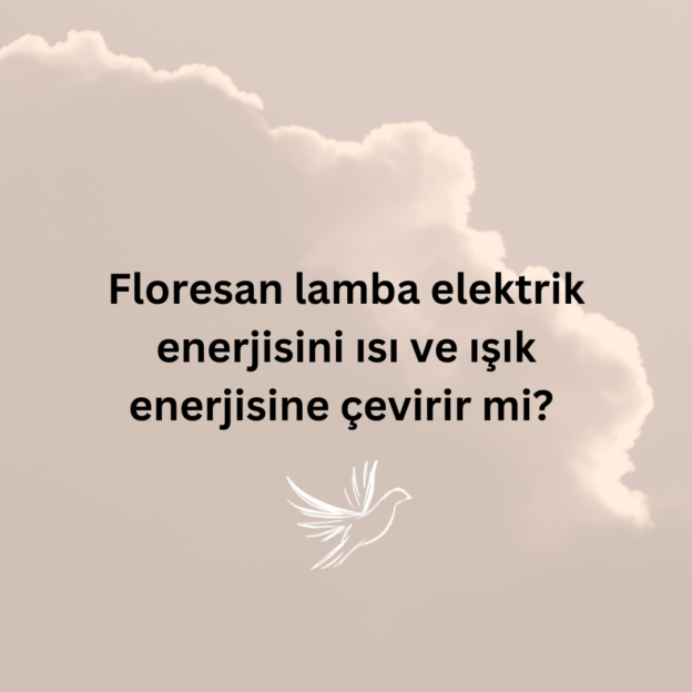 Floresan lamba elektrik enerjisini ısı ve ışık enerjisine çevirir mi? 1