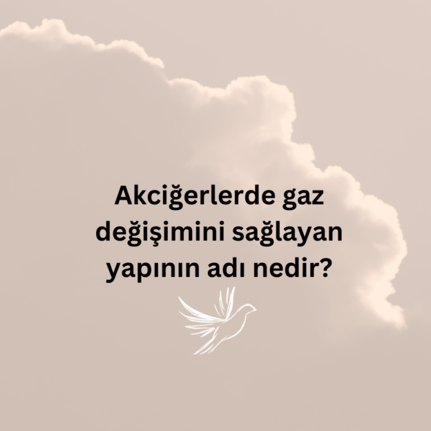 Akciğerlerde gaz değişimini sağlayan yapının adı nedir? 1