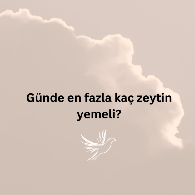 Günde en fazla kaç zeytin yemeli? 1