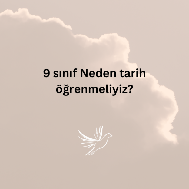 9 sınıf Neden tarih öğrenmeliyiz? 1