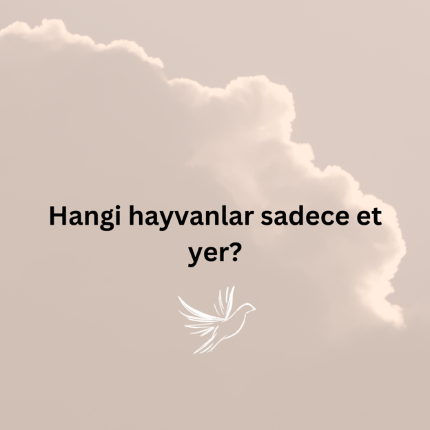 Hangi hayvanlar sadece et yer? 1