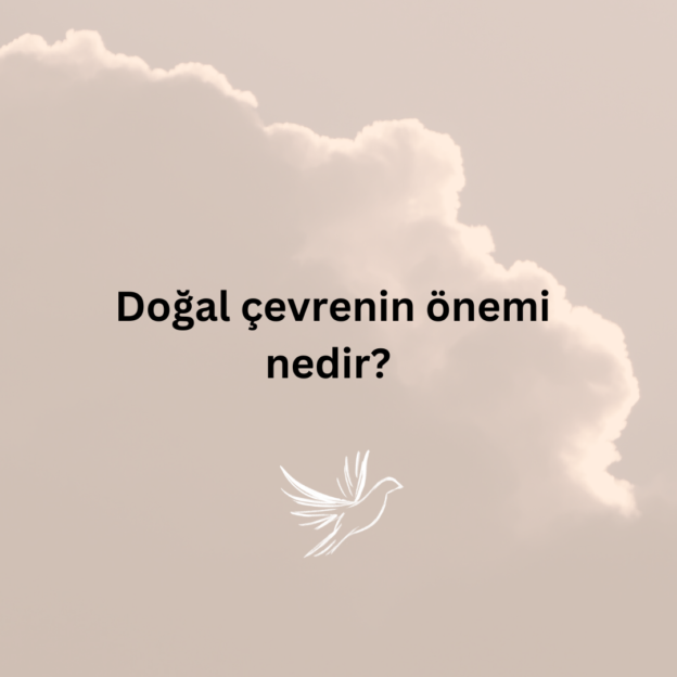 Doğal çevrenin önemi nedir? 1