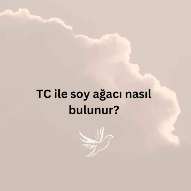 TC ile soy ağacı nasıl bulunur? 1