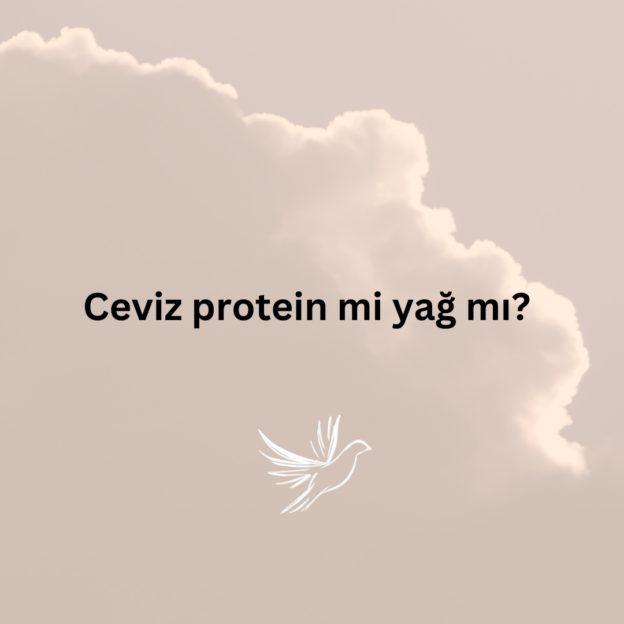 Ceviz protein mi yağ mı? 1