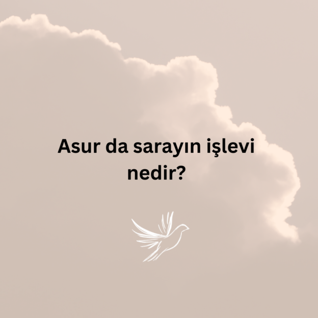 Asur da sarayın işlevi nedir? 1