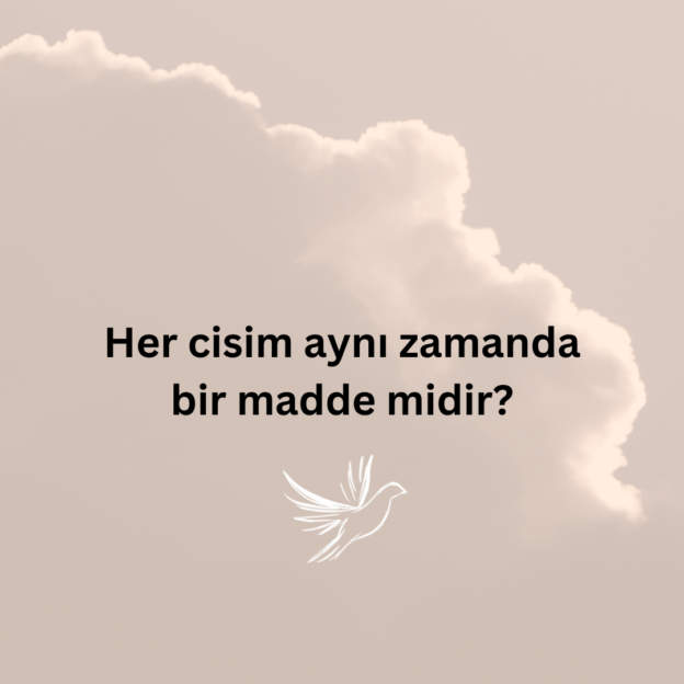 Her cisim aynı zamanda bir madde midir? 1