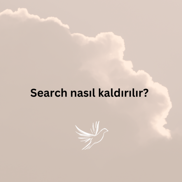 Search nasıl kaldırılır? 1