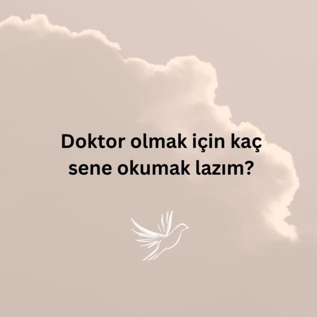 Doktor olmak için kaç sene okumak lazım? 1