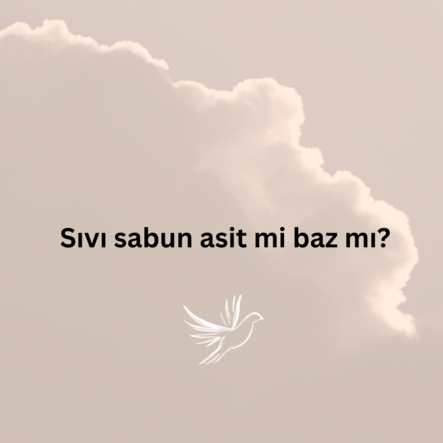 Sıvı sabun asit mi baz mı? 1