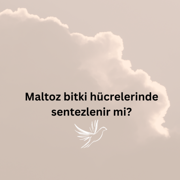 Maltoz bitki hücrelerinde sentezlenir mi? 1