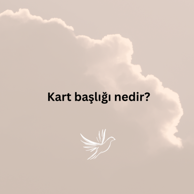 Kart başlığı nedir? 1