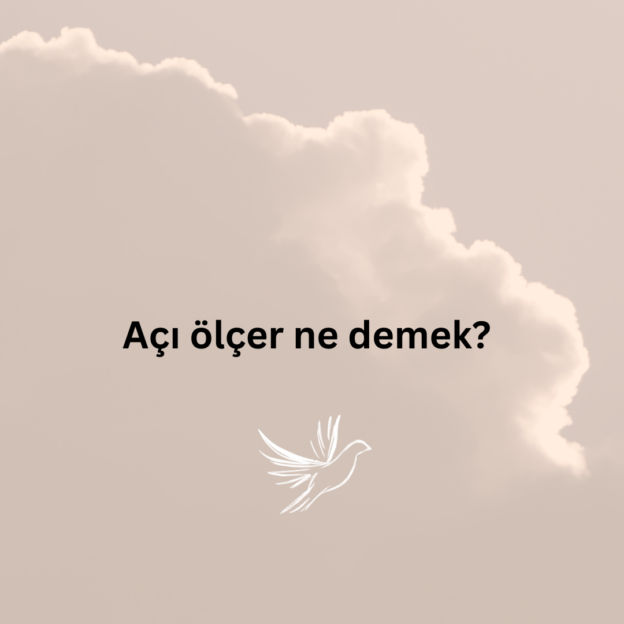 Açı ölçer ne demek? 1