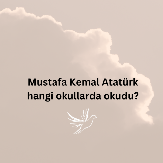 Mustafa Kemal Atatürk hangi okullarda okudu? 1