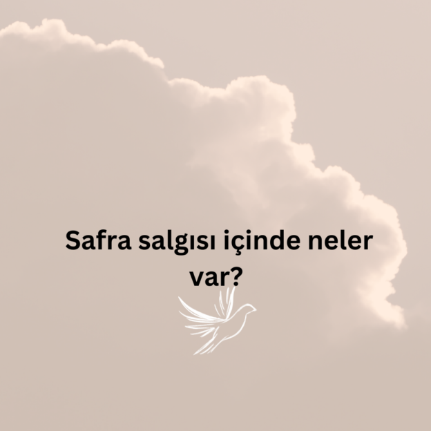 Safra salgısı içinde neler var? 1