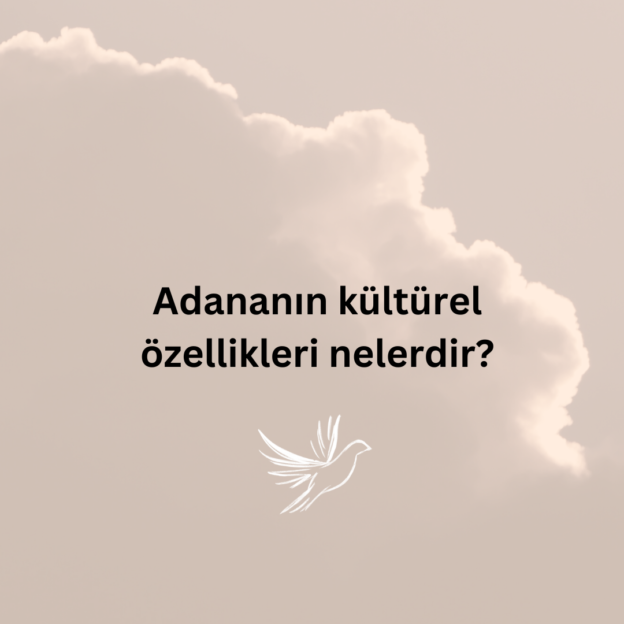 Adananın kültürel özellikleri nelerdir? 1