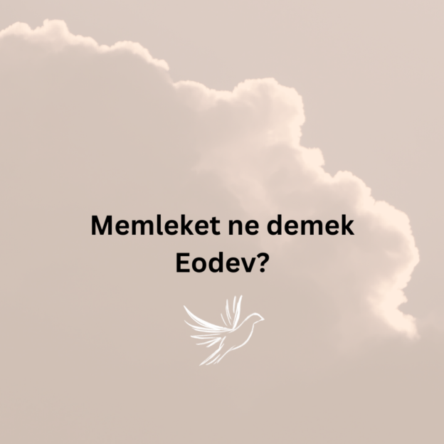 Memleket ne demek Eodev? 1