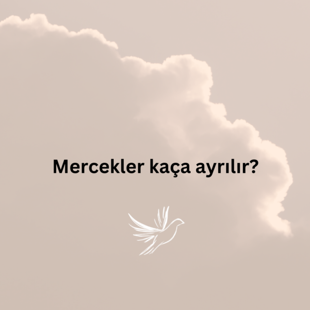 Mercekler kaça ayrılır? 1