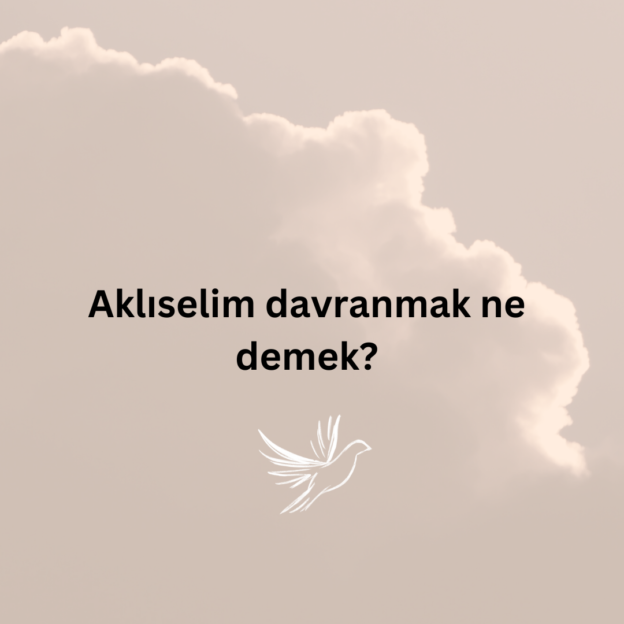 Aklıselim davranmak ne demek? 1