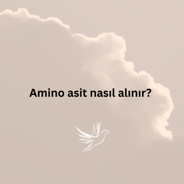 Amino asit nasıl alınır? 1