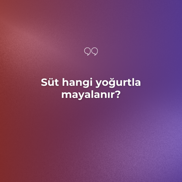 Süt hangi yoğurtla mayalanır? 1