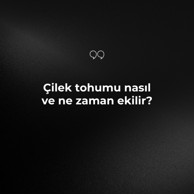 Çilek tohumu nasıl ve ne zaman ekilir? 1