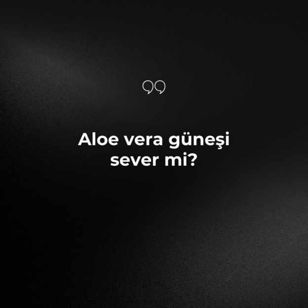 Aloe vera güneşi sever mi? 1