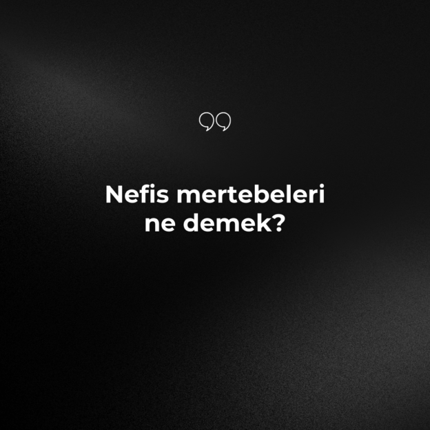 Nefis mertebeleri ne demek? 1