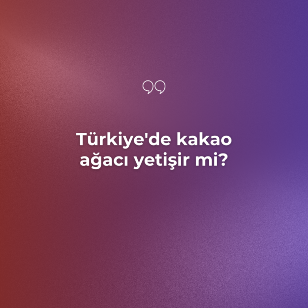 Türkiye'de kakao ağacı yetişir mi? 1