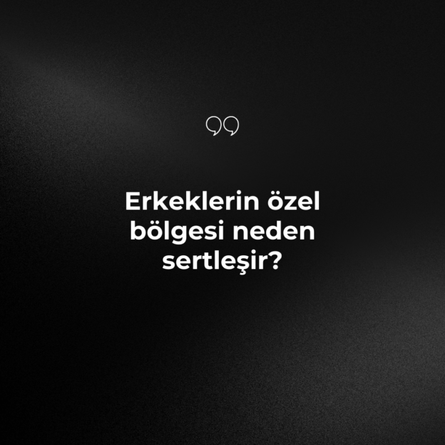 Erkeklerin özel bölgesi neden sertleşir? 1