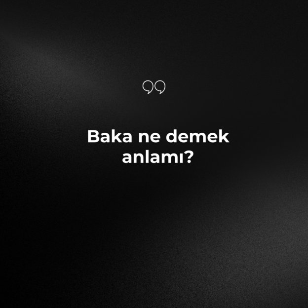 Baka ne demek anlamı? 1