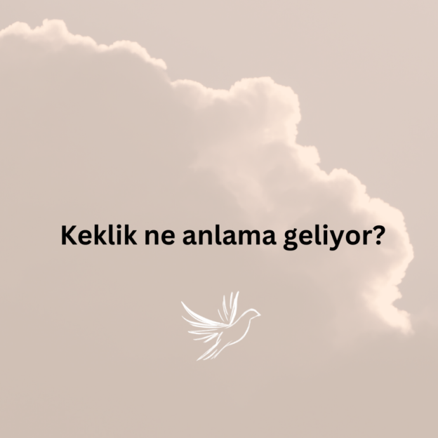 Keklik ne anlama geliyor? 1