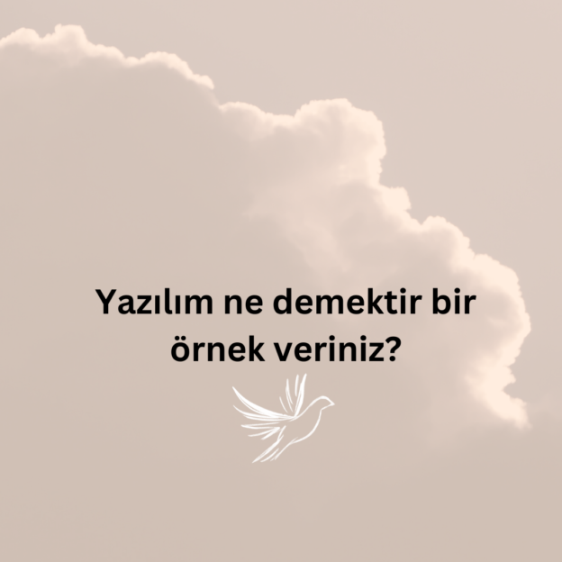 Yazılım ne demektir bir örnek veriniz? 1