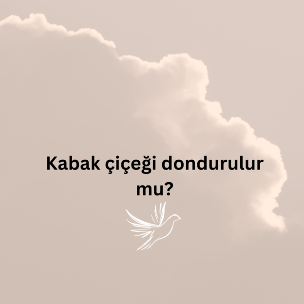 Kabak çiçeği dondurulur mu? 1