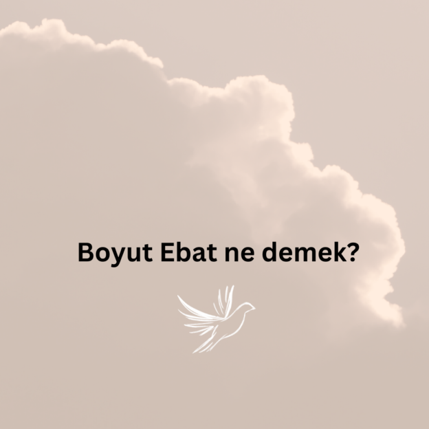 Boyut Ebat ne demek? 1