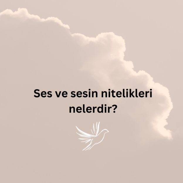 Ses ve sesin nitelikleri nelerdir? 1