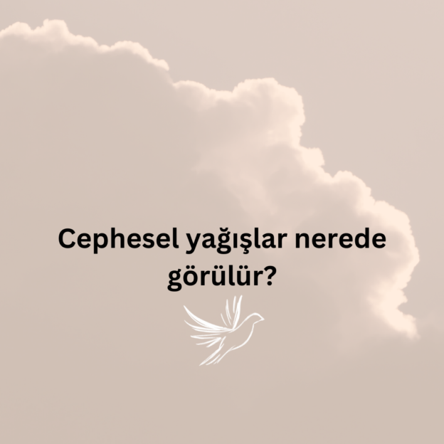 Cephesel yağışlar nerede görülür? 1