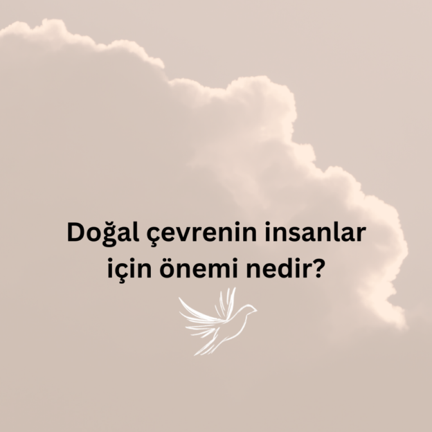 Doğal çevrenin insanlar için önemi nedir? 1