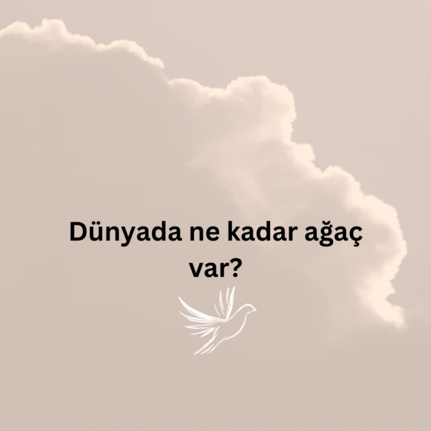 Dünyada ne kadar ağaç var? 1